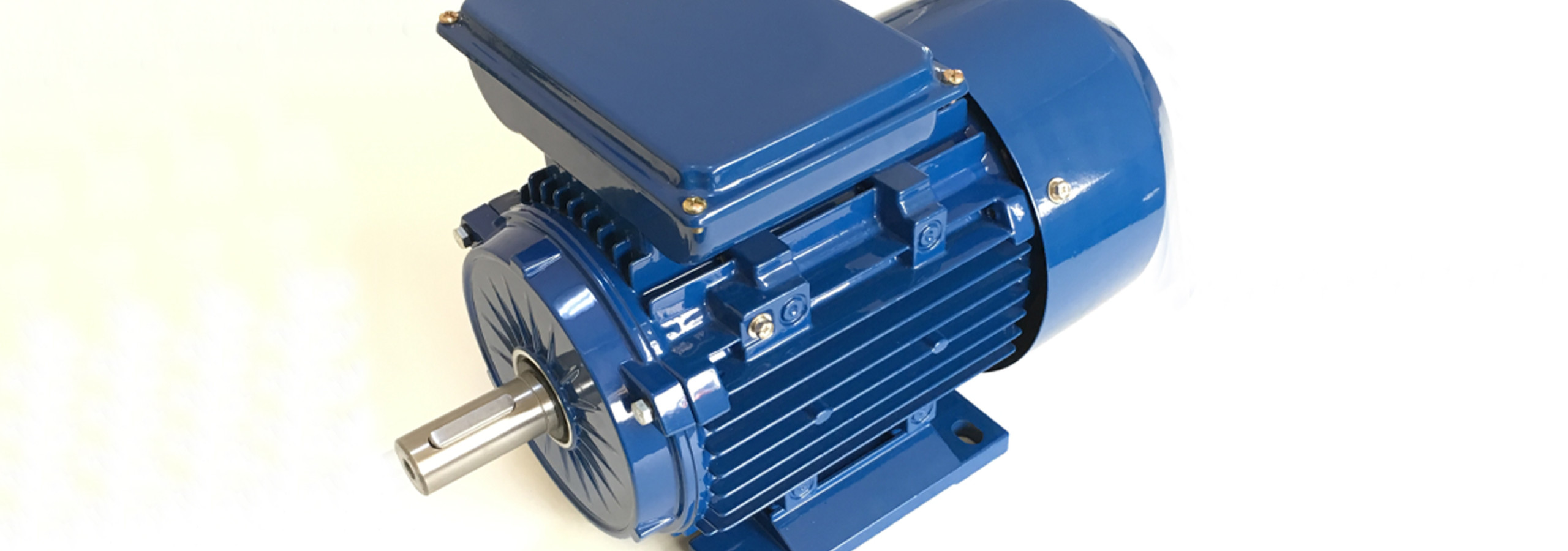 Einphasenwechselstrommotor ATG2018